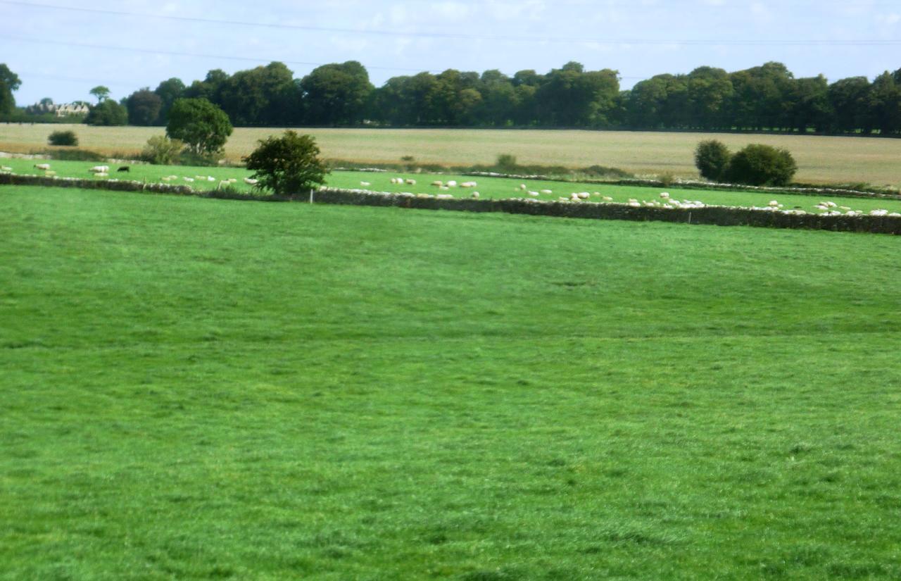 Windylands Panzió Chipping Sodbury Kültér fotó